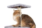 Cat Tree, 90cm - Image 7